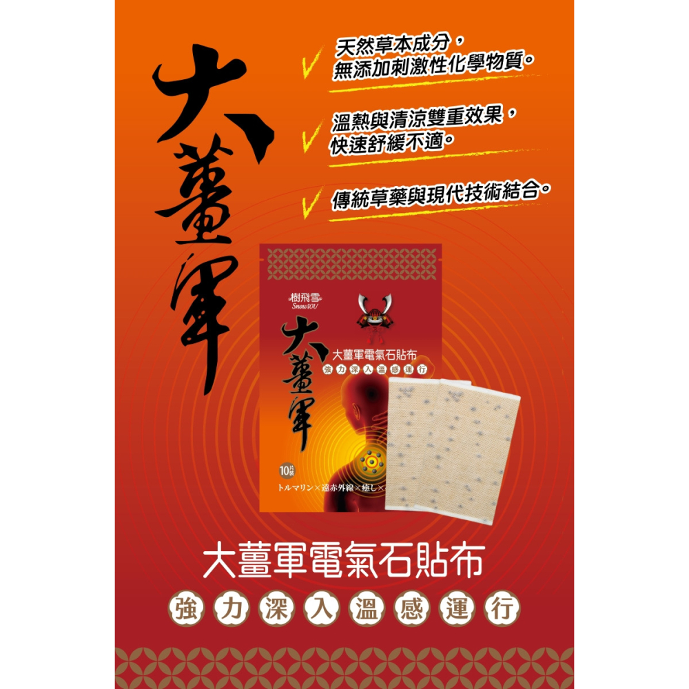 樹飛雪 大薑軍電氣石貼布 10入/包 大將軍 大薑軍貼布 電氣石貼布 電氣石 運動貼布 酸痛貼布-細節圖2