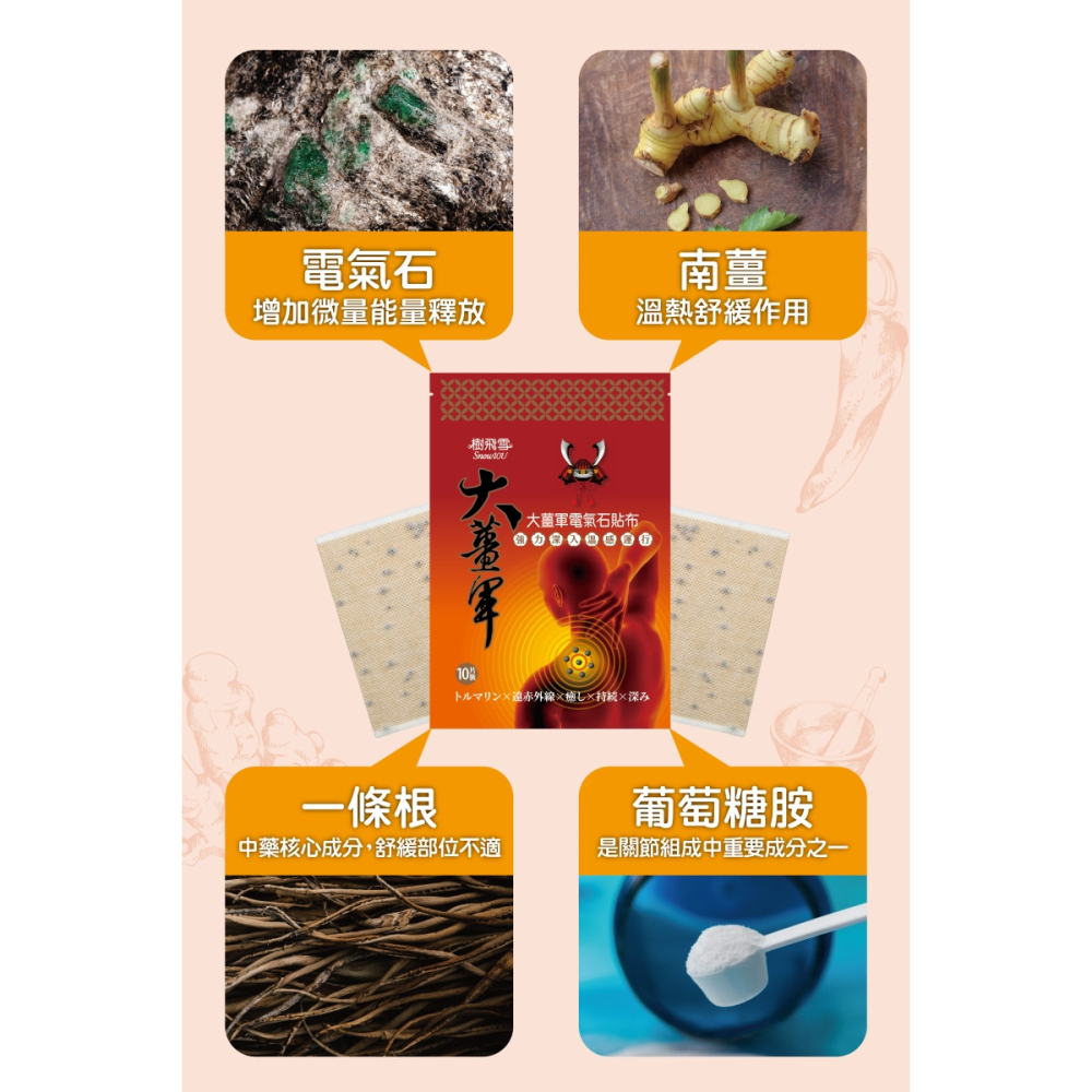 樹飛雪 大薑軍電氣石貼布 10入/包 大將軍 大薑軍貼布 電氣石貼布 電氣石 運動貼布 酸痛貼布-細節圖3