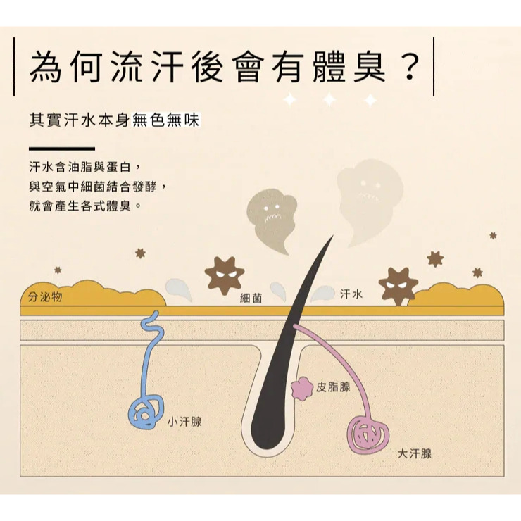 淨味淡香水【oooh】 慵懶午後 春光爛漫 夢幻秘境 藍色天空 萊姆白茶 茶韻時光 體香劑 香氛-細節圖3