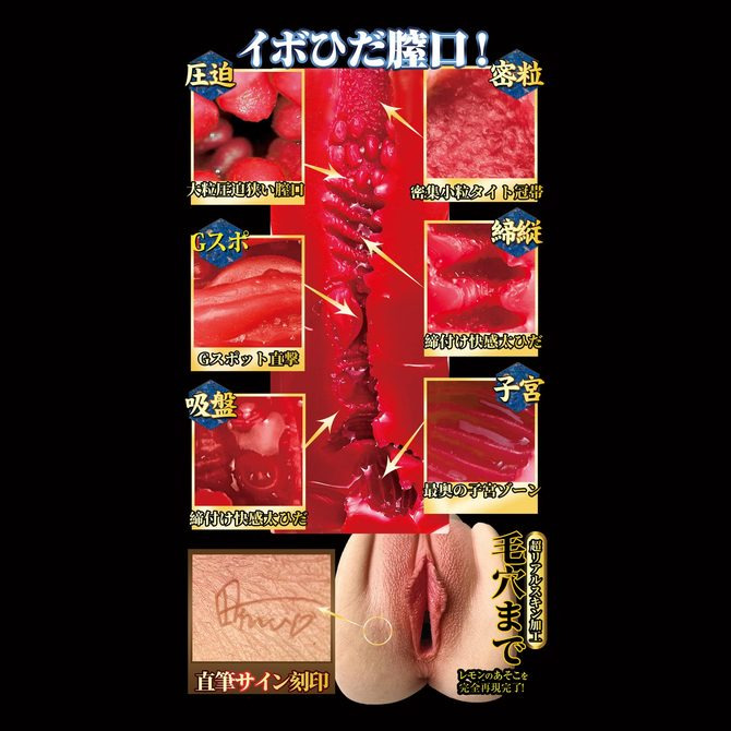 日本NPG 名器創生2 田中檸檬 生肌二重構 JNPG 名器創生2  田中レモン 楓可憐 楓カレン-細節圖5