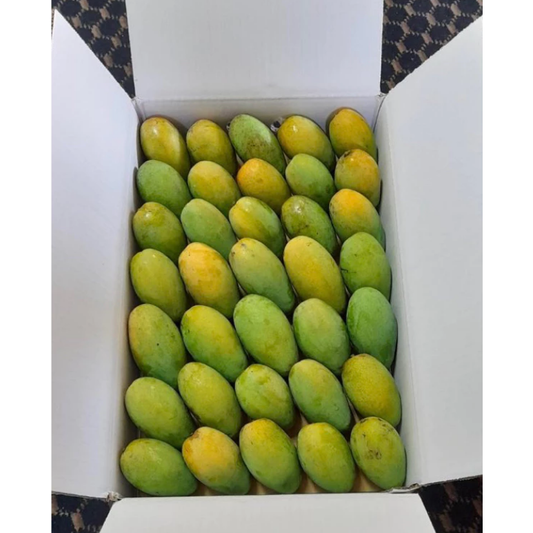 冷藏免運 產地直送🛻🥭山地門土芒果/金煌🥭 在叢黃土芒果 自產自銷 金煌芒果 現採芒果 芒果 大盤批發價 土芒果-細節圖4