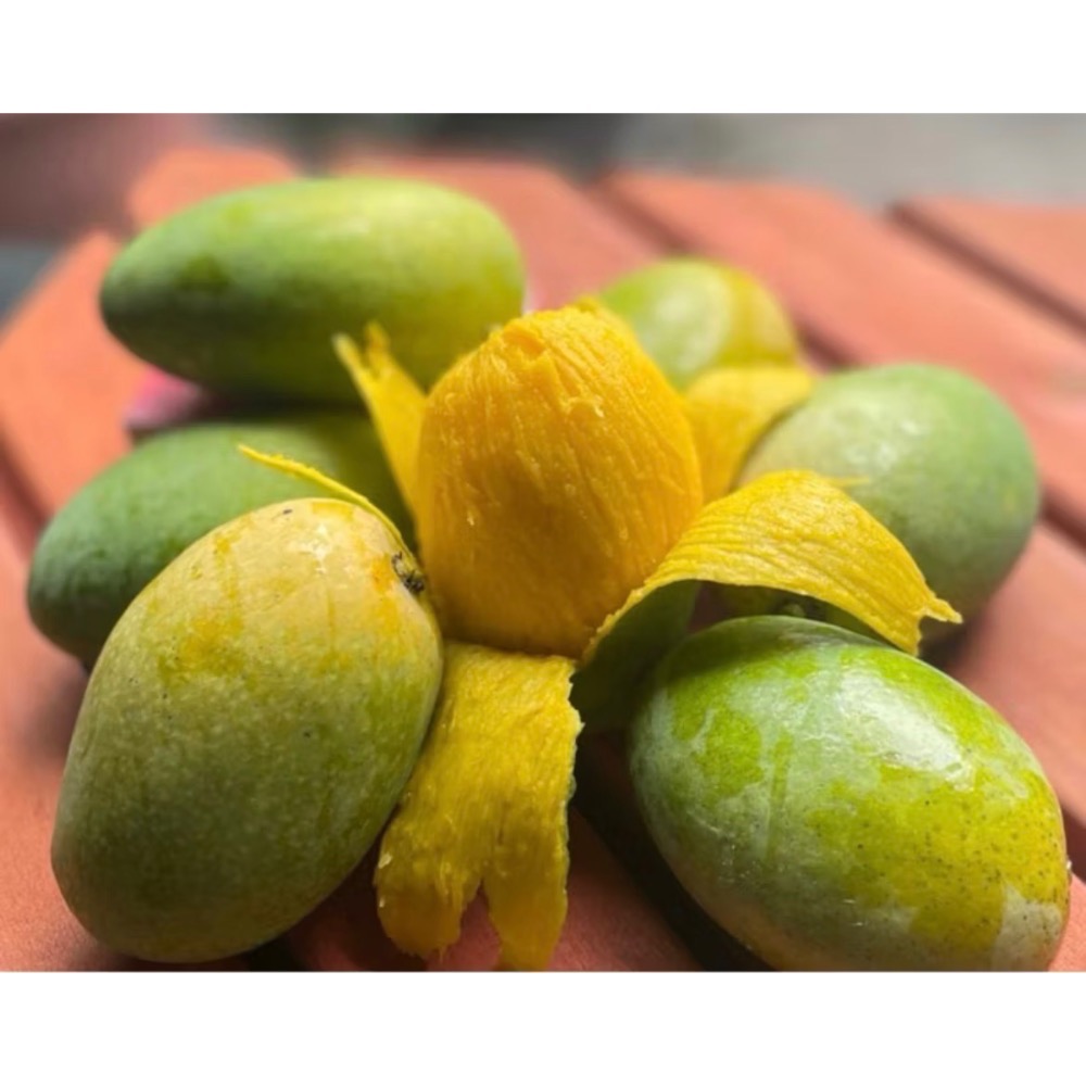 冷藏免運 產地直送🛻🥭山地門土芒果/金煌🥭 在叢黃土芒果 自產自銷 金煌芒果 現採芒果 芒果 大盤批發價 土芒果-規格圖5