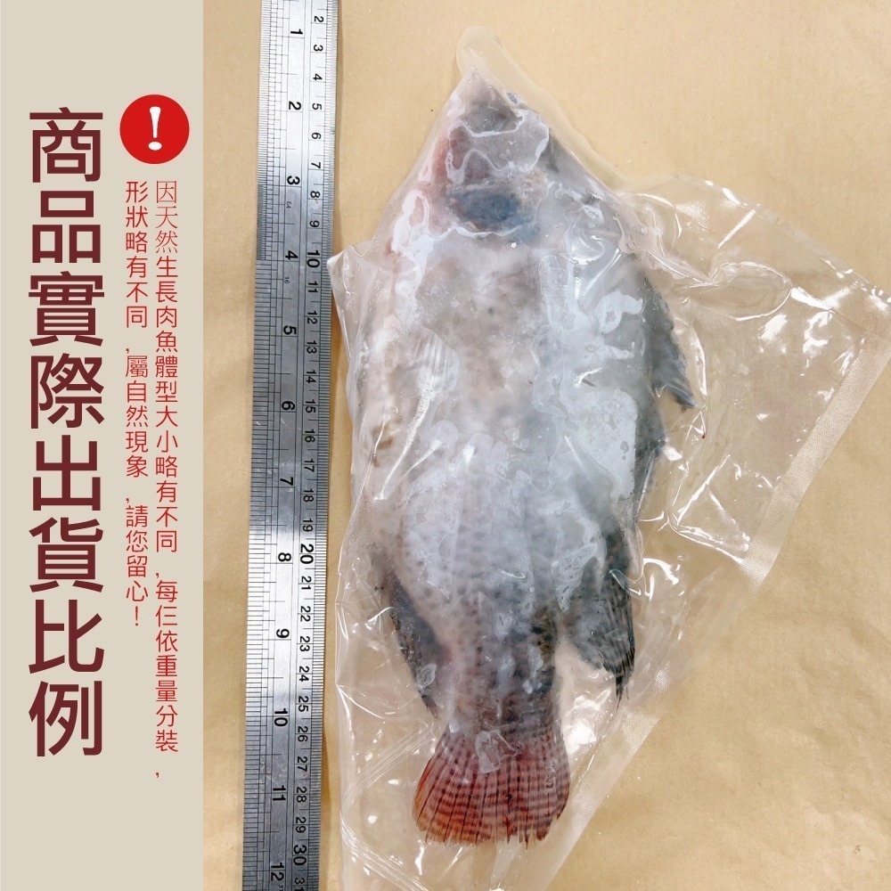 小川漁屋 精選台灣鯛魚4尾(250~300g/尾)-細節圖2