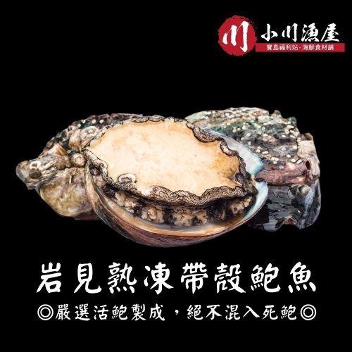 小川漁屋 熟凍帶殼鮑魚3包（300g±10%/包8~11顆)_年節美食/年菜