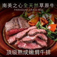 【豪鮮牛肉】全天然草原牛嫩肩牛排6片(100g±10％/片)