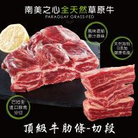 【豪鮮牛肉】草原之心天然牛肋條切段3包(500g/包)