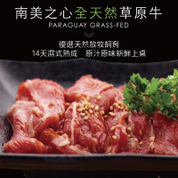 【豪鮮牛肉】草原熟成嫩肩肉片3包 (200g/包±10%)