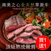 買8送8 【豪鮮牛肉】全天然草原牛嫩肩牛排8片(100g±10％/片)共16片