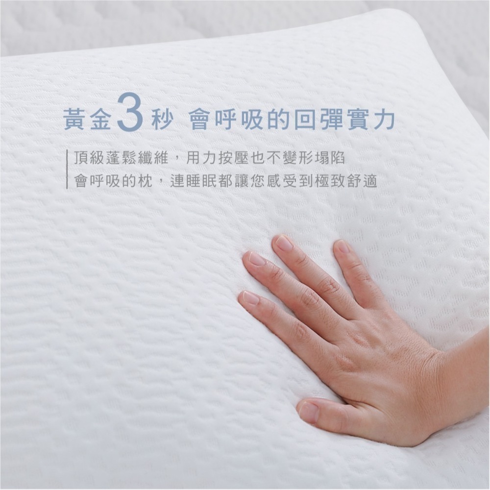 鈦享睡 3D透氣鋅炭枕 健康鋅炭纖維 枕頭 抗菌鋅離子 可水洗烘乾 3D枕-細節圖3