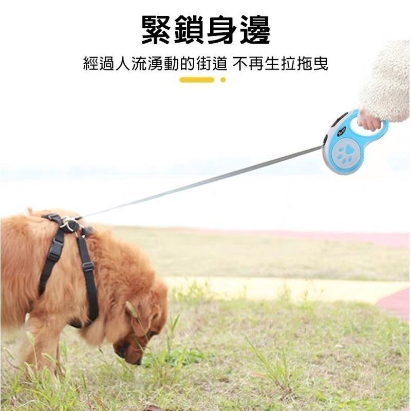 【拾四方】台灣現貨 寵物自動牽繩 自動牽繩 伸縮牽繩 伸縮拉繩 寵物牽繩 牽引繩 貓狗用品 寵物用品-細節圖2