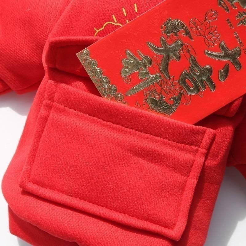 【拾四方】 寵物新年衣服 寵物過年 狗狗過年 貓咪過年 寵物新年 狗狗衣服 貓咪衣服 新春衣服 新年招財衣-細節圖6