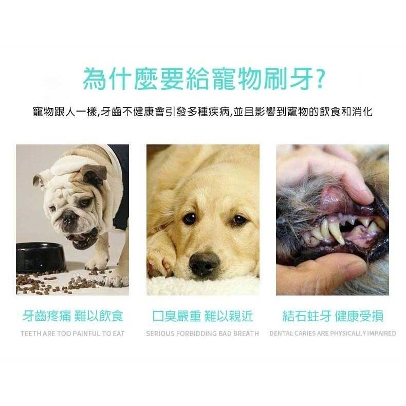 【拾四方】寵物指套牙刷 指套寵物牙刷 貓牙刷 狗牙刷 寵物牙刷 寵物 牙刷 指套 乳膠 牙刷套 狗貓透明軟牙刷-細節圖8