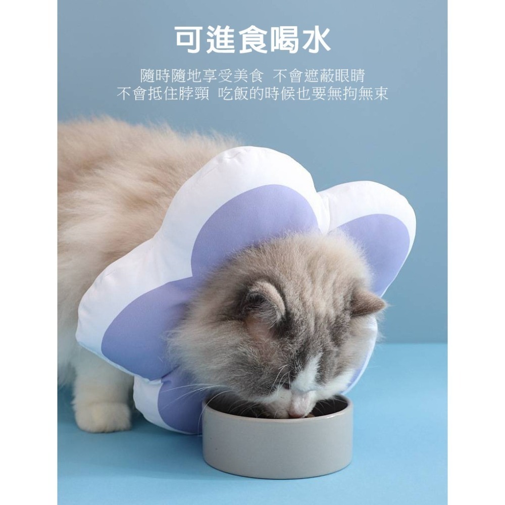 【拾四方商行】伊莉莎白頭套 防舔頭套 防咬頭套 防舔圈 寵物頭套 羞恥圈 伊莉莎白圈 貓頭套 貓咪頭套 寵物軟頭套-細節圖7