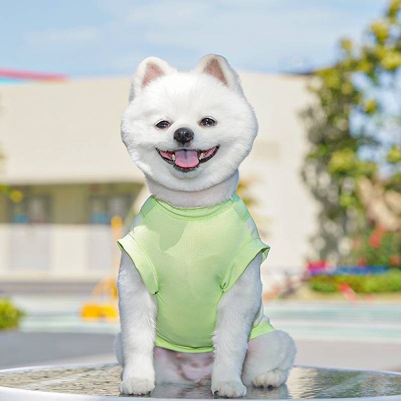 【拾四方】夏日透氣背心 狗狗夏季薄款衣服 冰絲涼感衣 透氣背心 貓衣服 小狗背心 可牽引背心 春夏季背心 寵物涼感衣-細節圖3