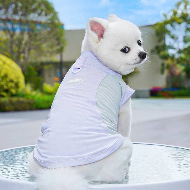【拾四方】夏日透氣背心 狗狗夏季薄款衣服 冰絲涼感衣 透氣背心 貓衣服 小狗背心 可牽引背心 春夏季背心 寵物涼感衣-細節圖7