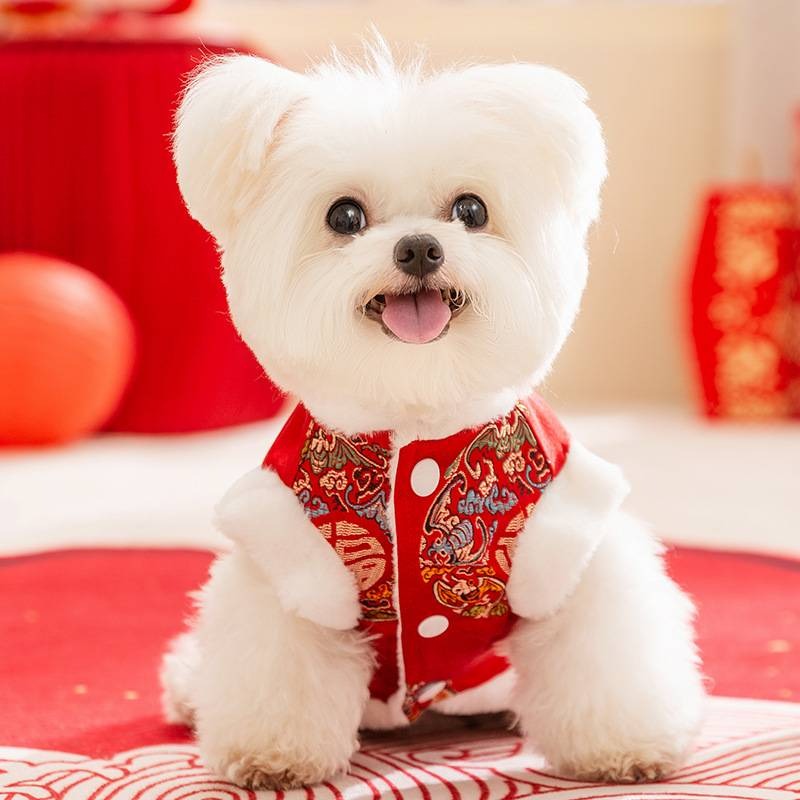 【拾四方】寵物新年背心 中式新年福氣滿滿背心 寵物過年 狗狗過年 貓咪過年 狗狗衣服 貓咪衣服 新春衣服 新年招財衣-細節圖4