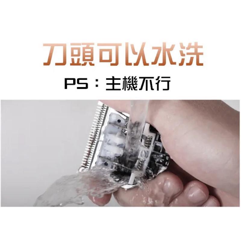 WAHL2222 2226 華爾電剪-細節圖4