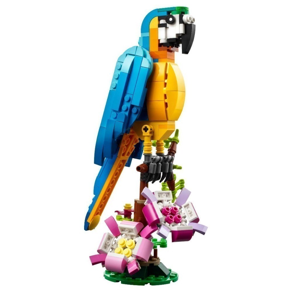 ［想樂］全新 樂高 LEGO 31136 Creator 三合一 異國鸚鵡 Exotic Parrot-細節圖3