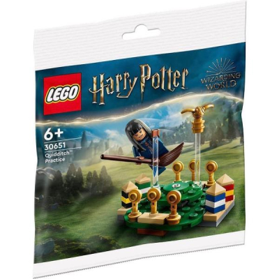 ［想樂］ 『小包』全新 樂高 Lego 30651 哈利波特 魁地奇 張秋 Quidditch™ Practice Polybag