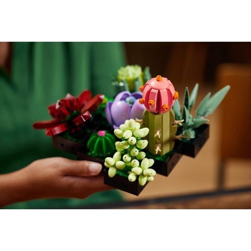 ［想樂］全新 樂高 Lego 10309 Creator 多肉植物-細節圖5