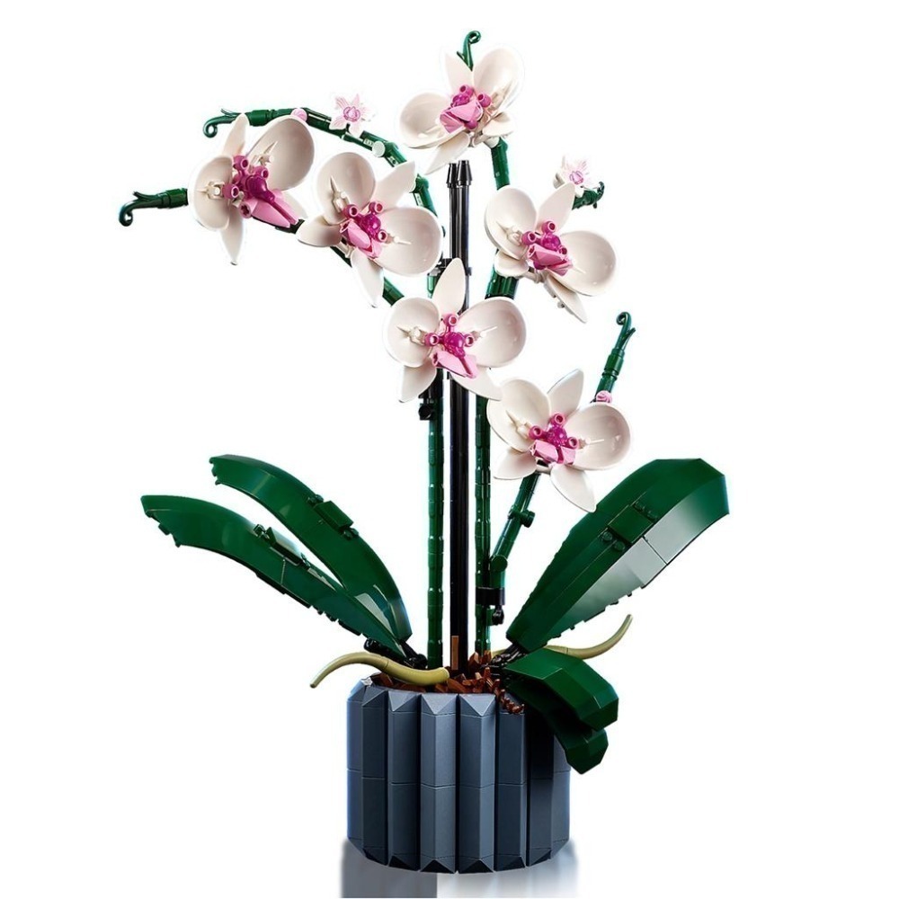 ［想樂］全新 樂高 Lego 10311 Creator 蘭花-細節圖4