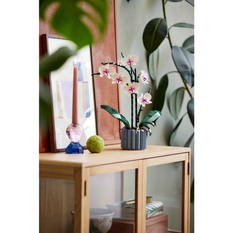 ［想樂］全新 樂高 Lego 10311 Creator 蘭花-細節圖5