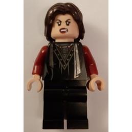 ［想樂］『人偶』全新 樂高 Lego HP210 哈利波特 小仙女·東施 (75980)-細節圖2