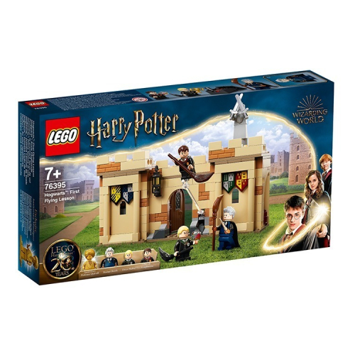 ［想樂］全新 樂高 LEGO 76395 Harry Potter 哈利波特 第一堂飛行課