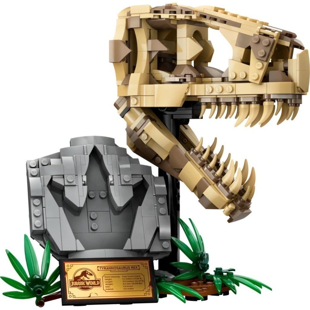 ［想樂］全新 樂高 LEGO 76964 Jurassic World 侏儸紀 恐龍化石：霸王龍頭骨-細節圖3