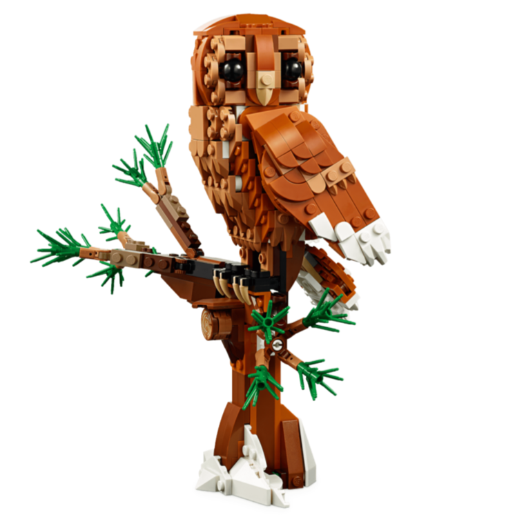 ［想樂］全新 樂高 LEGO 31154 Creator 三合一 森林動物：紅狐狸 貓頭鷹 狐狸-細節圖6