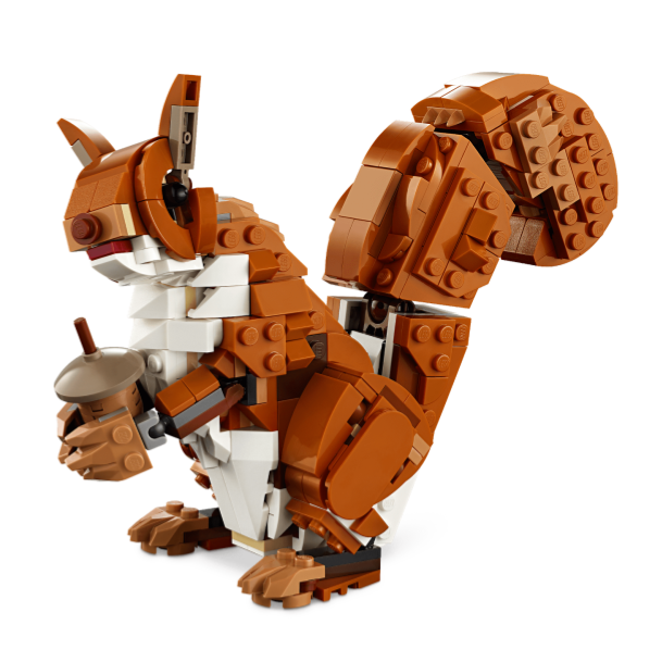 ［想樂］全新 樂高 LEGO 31154 Creator 三合一 森林動物：紅狐狸 貓頭鷹 狐狸-細節圖7