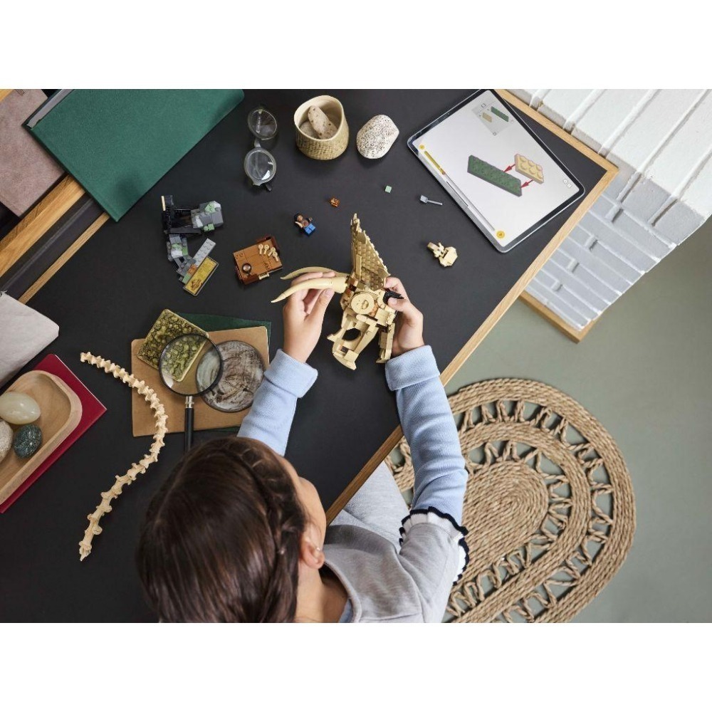 ［想樂］全新 樂高 LEGO 76969 Jurassic World 侏儸紀世界 恐龍化石 三角龍頭骨-細節圖5