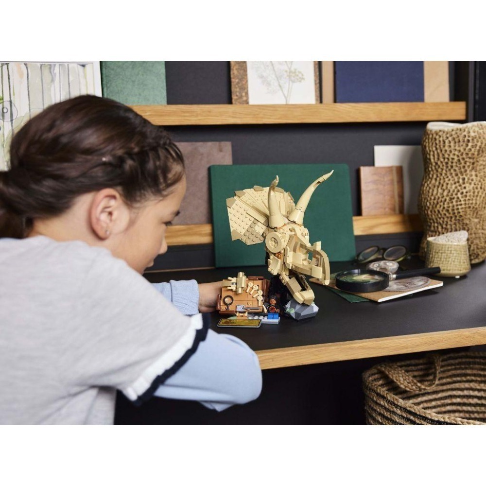 ［想樂］全新 樂高 LEGO 76969 Jurassic World 侏儸紀世界 恐龍化石 三角龍頭骨-細節圖6