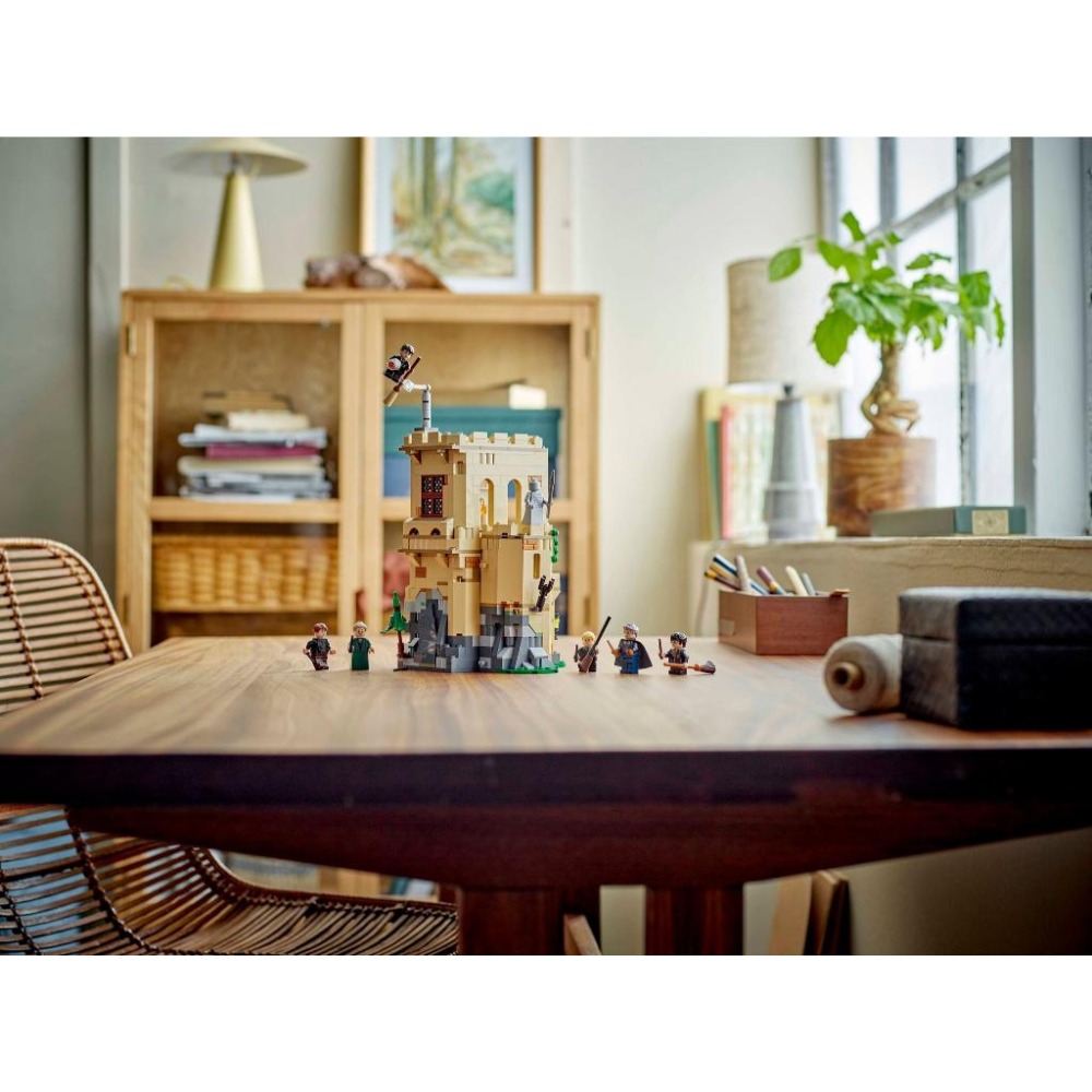 ［想樂］全新 樂高 LEGO 76447 哈利波特 Harry Potter 飛行課-細節圖9