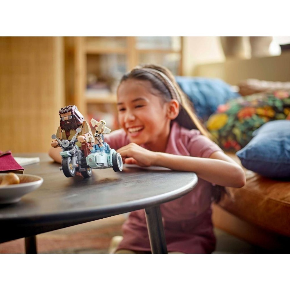 ［想樂］全新 樂高 LEGO 76443 哈利波特 Harry Potter 海格和哈利的摩托車之旅-細節圖8