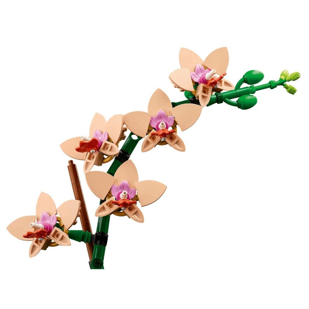 ［想樂］全新 樂高 LEGO 10343 Botanicals 花藝系列 迷你蘭花 Mini Orchid-細節圖4