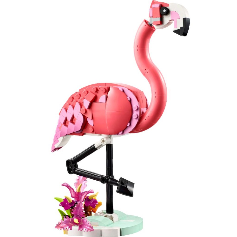［想樂］全新 樂高 LEGO 31170 Creator 三合一 粉紅紅鶴 Pink Flamingo-細節圖3