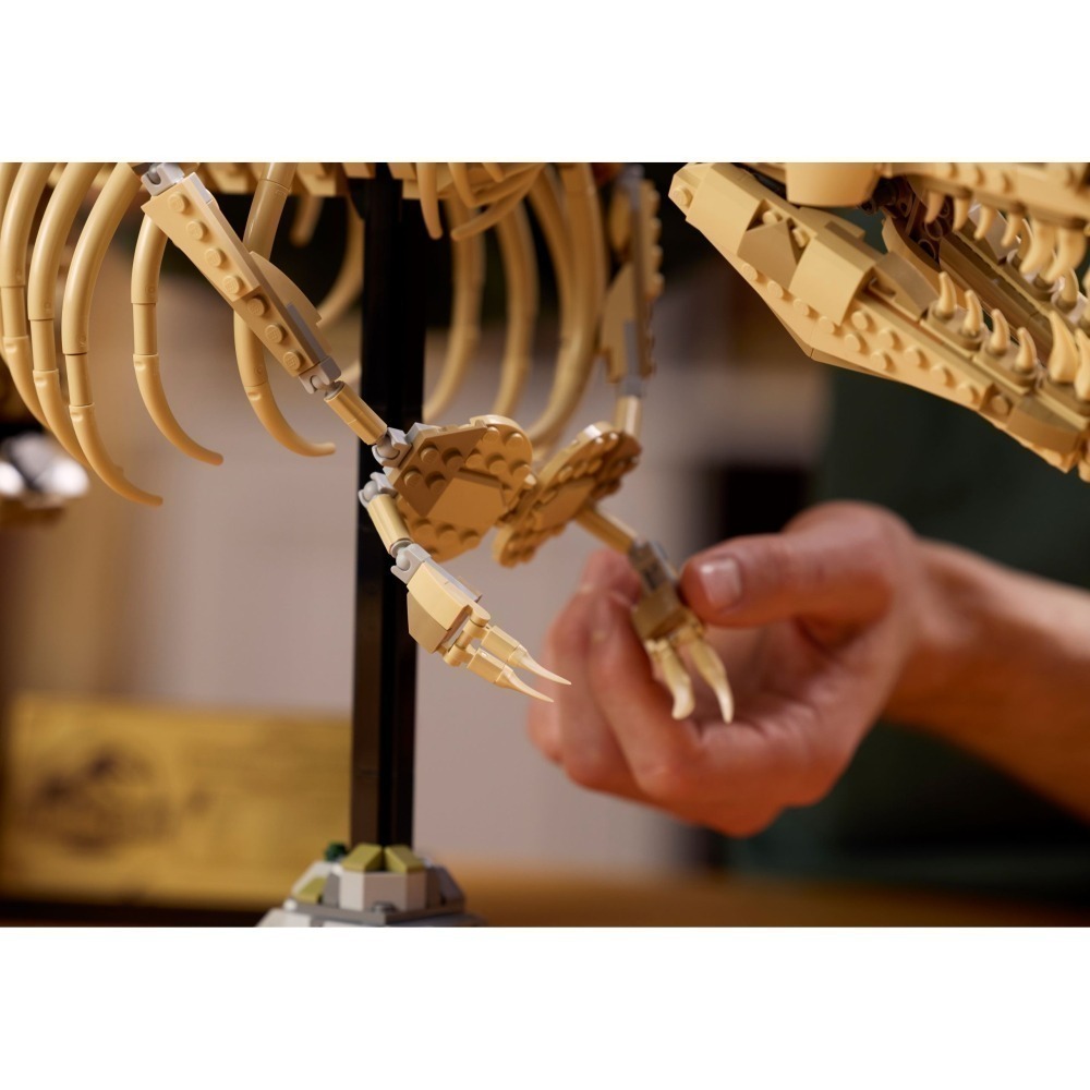 ［想樂］全新 樂高 LEGO 76968 侏儸紀世界 恐龍化石 暴龍 《侏羅紀公園》-細節圖7