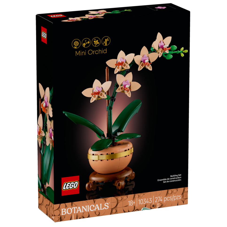 ［想樂］全新 樂高 LEGO 梅蘭竹菊合購 10368 菊花 10369 梅花 10343 蘭花 10344 竹-細節圖2