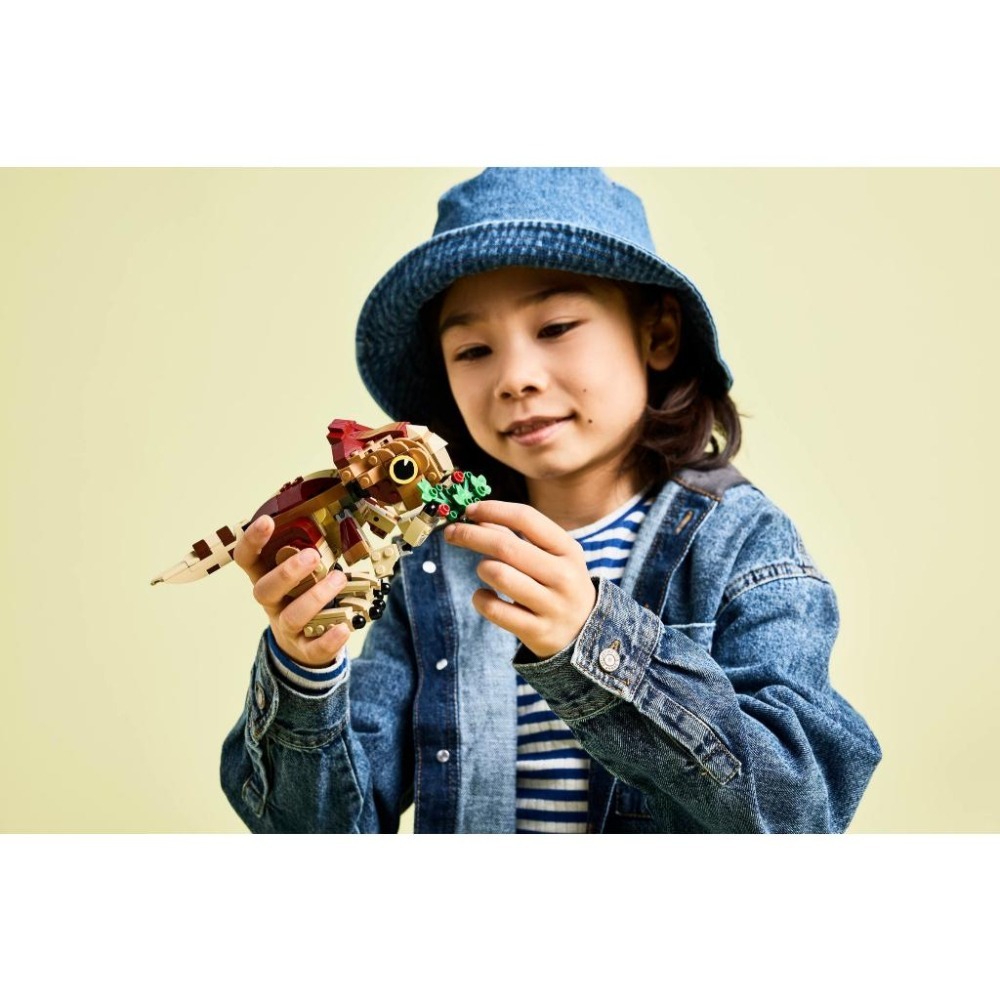 ［想樂］全新 樂高 LEGO 76970 侏儸紀世界 Jurassic World 恐龍寶寶 Dolores：鷹角龍-細節圖7