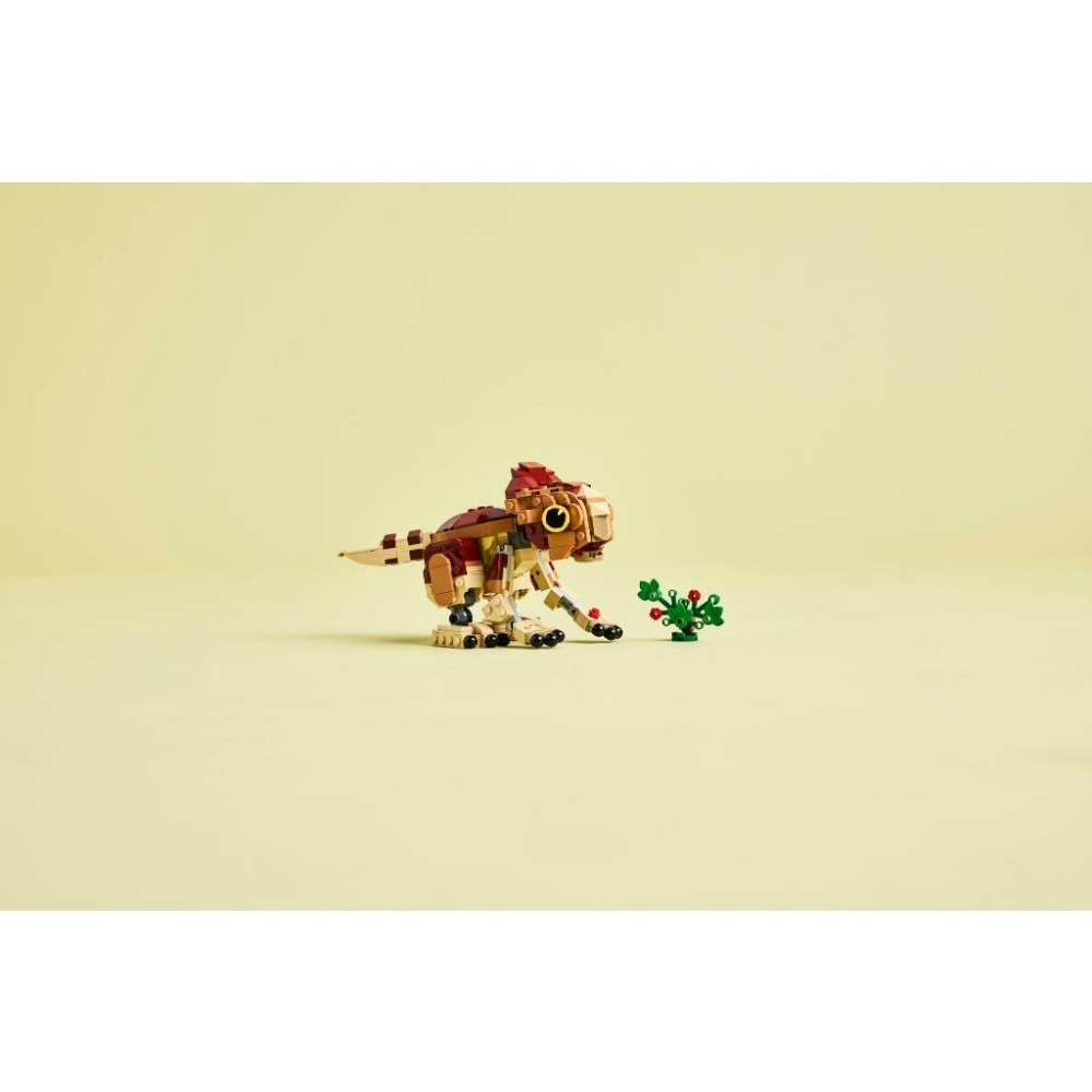 ［想樂］全新 樂高 LEGO 76970 侏儸紀世界 Jurassic World 恐龍寶寶 Dolores：鷹角龍-細節圖8