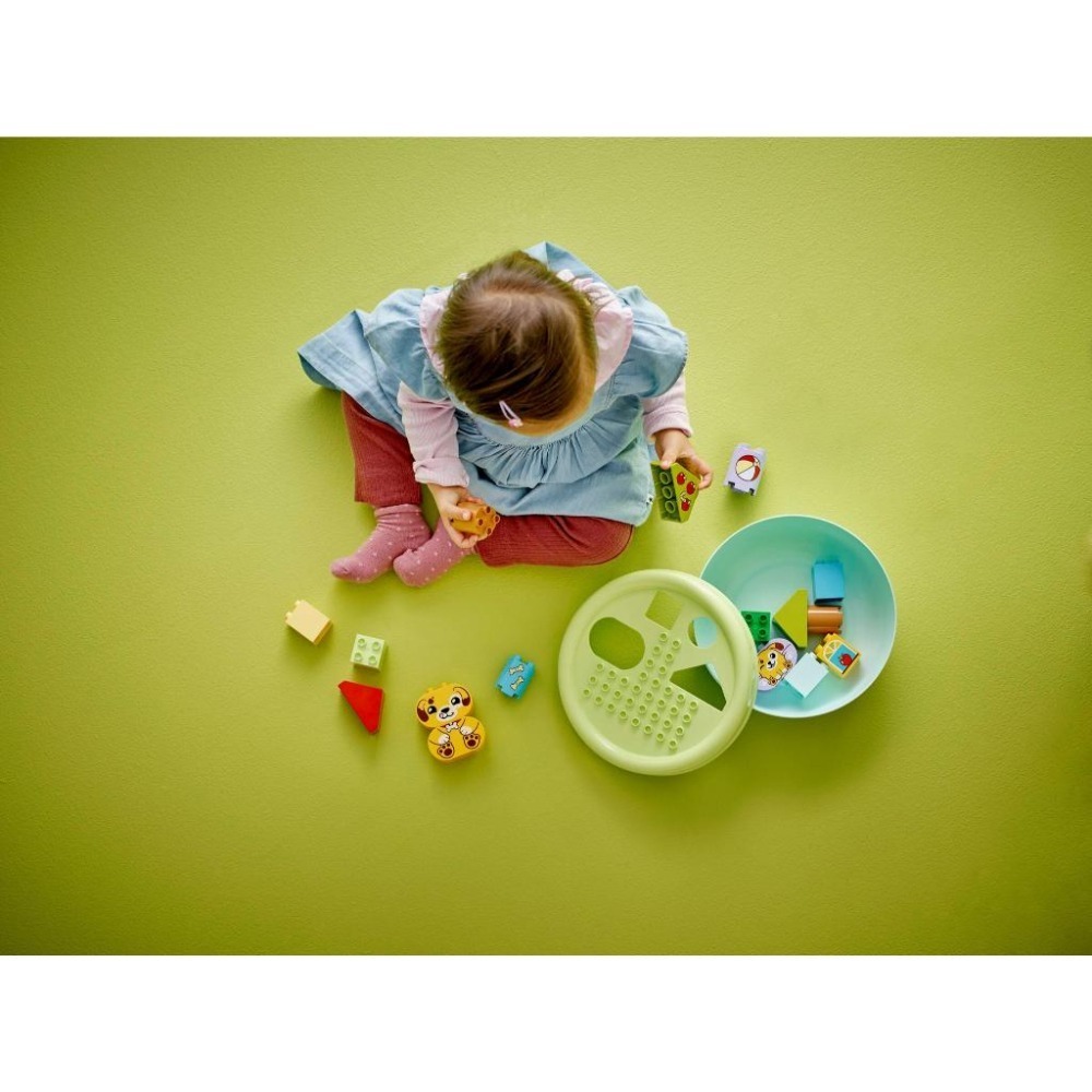 ［想樂］全新 樂高 LEGO 10441 DUPLO 得寶 形狀分類趣：小狗屋-細節圖7