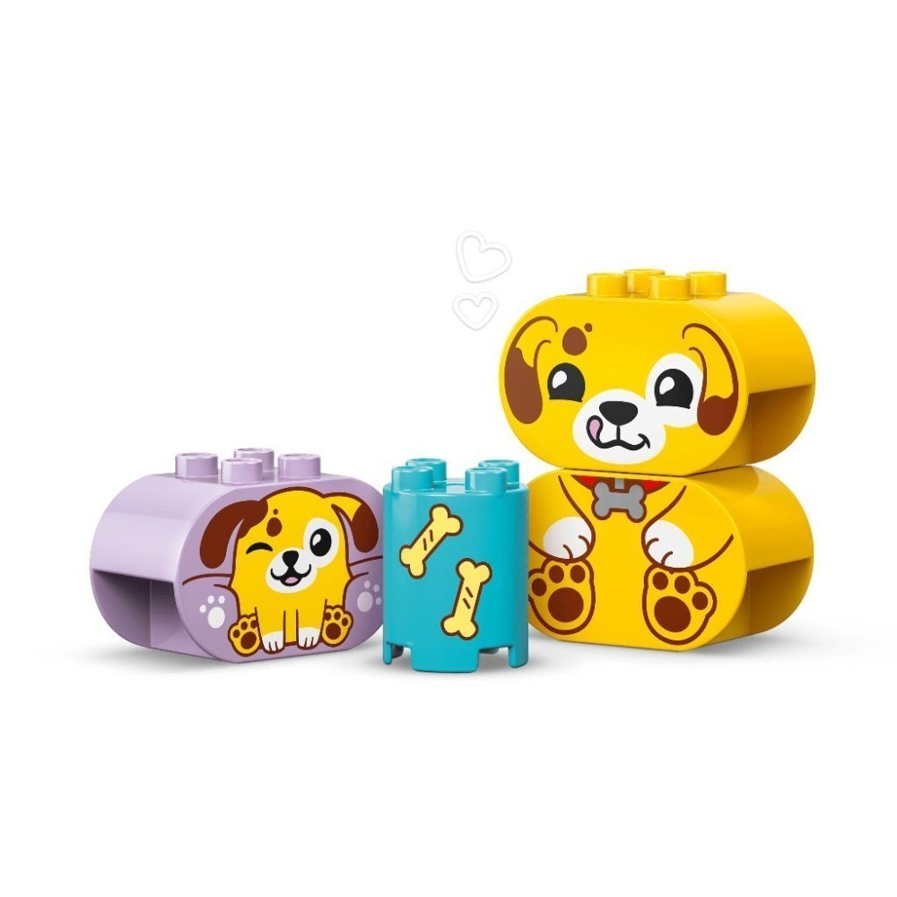 ［想樂］全新 樂高 LEGO 10441 DUPLO 得寶 形狀分類趣：小狗屋-細節圖6