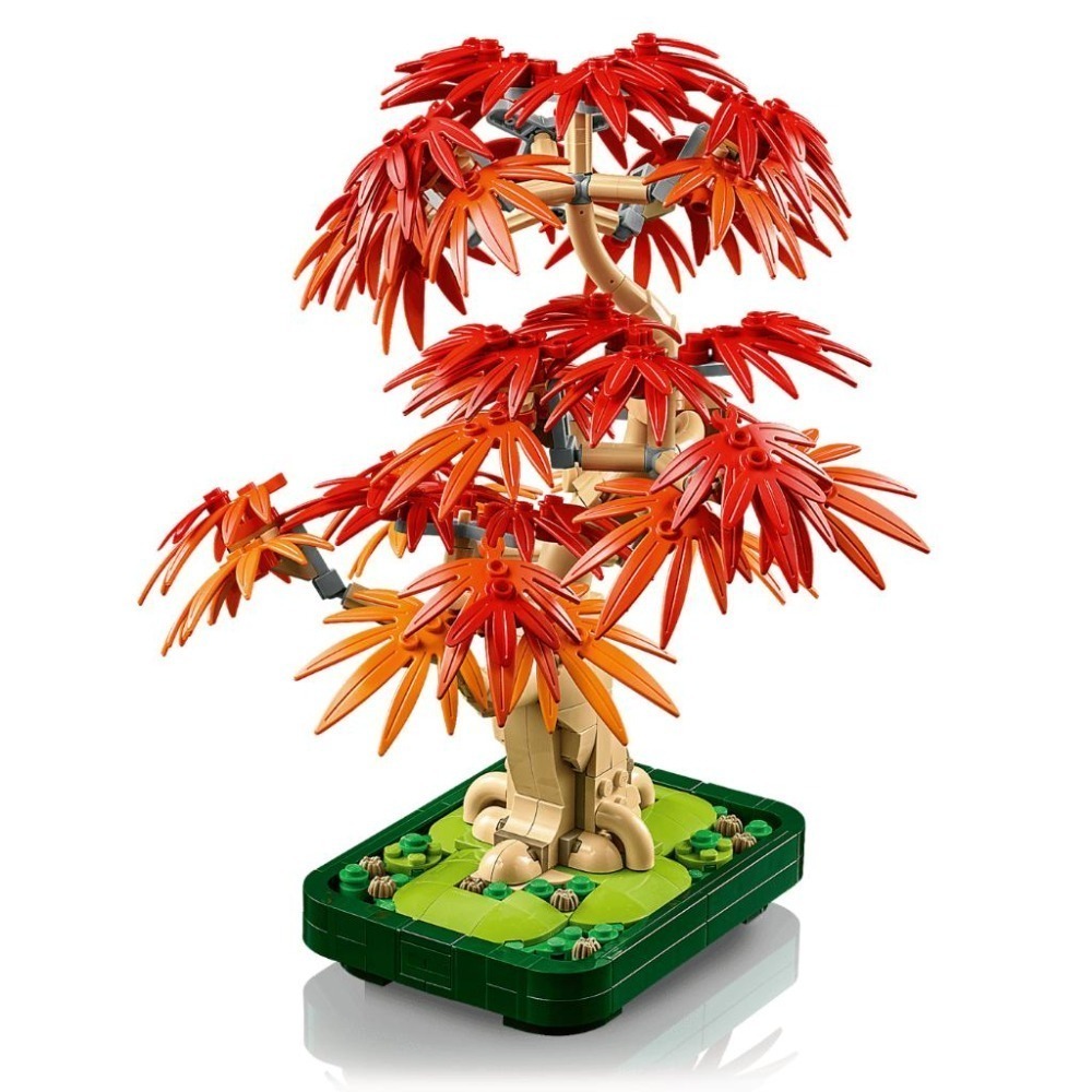 ［想樂］全新 樂高 LEGO 10348 Botanicals 花藝系列 日本紅楓盆景-細節圖4