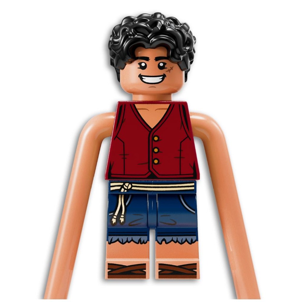 ［想樂］全新 樂高 LEGO 75638 ONE PIECE 航海王 惡龍樂園之戰-細節圖6