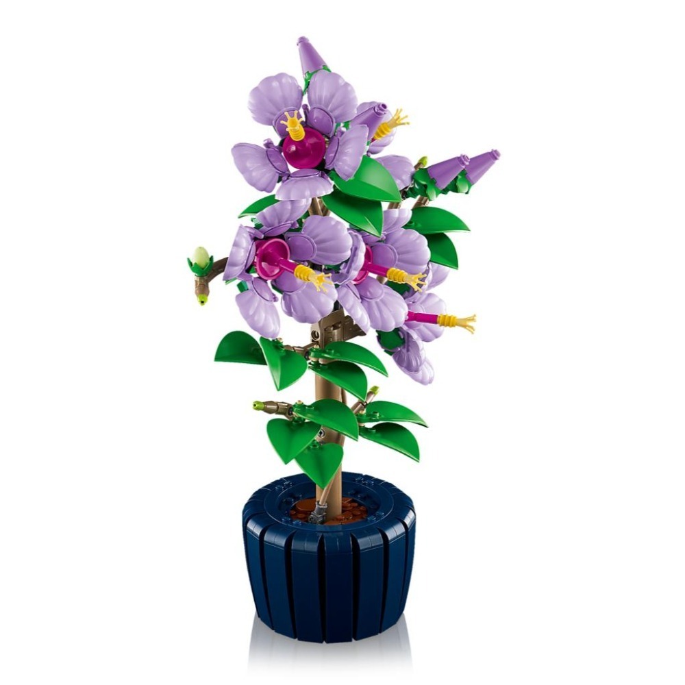 ［想樂］全新 樂高 LEGO 10372 木槿 Hibiscus-細節圖5