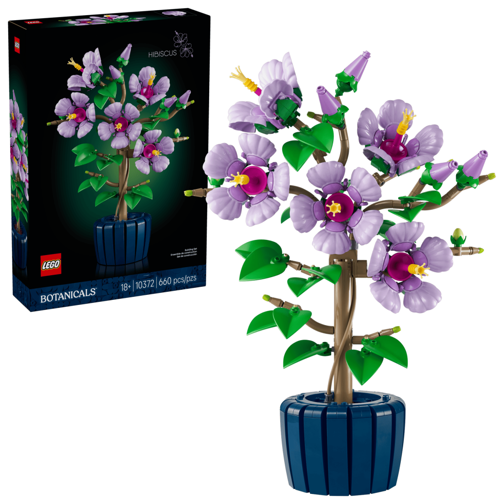 ［想樂］全新 樂高 LEGO 10372 木槿 Hibiscus-細節圖11