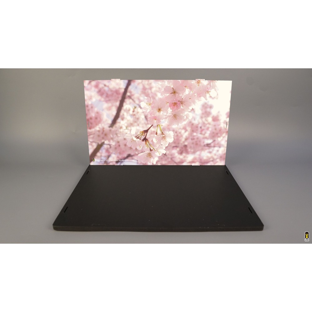 ［想樂］ [不含積木]  WBS 樂光 21060 姬路城 專用燈組 紙片燈 樂光燈 專用防塵盒 展示盒 壓克力-細節圖7