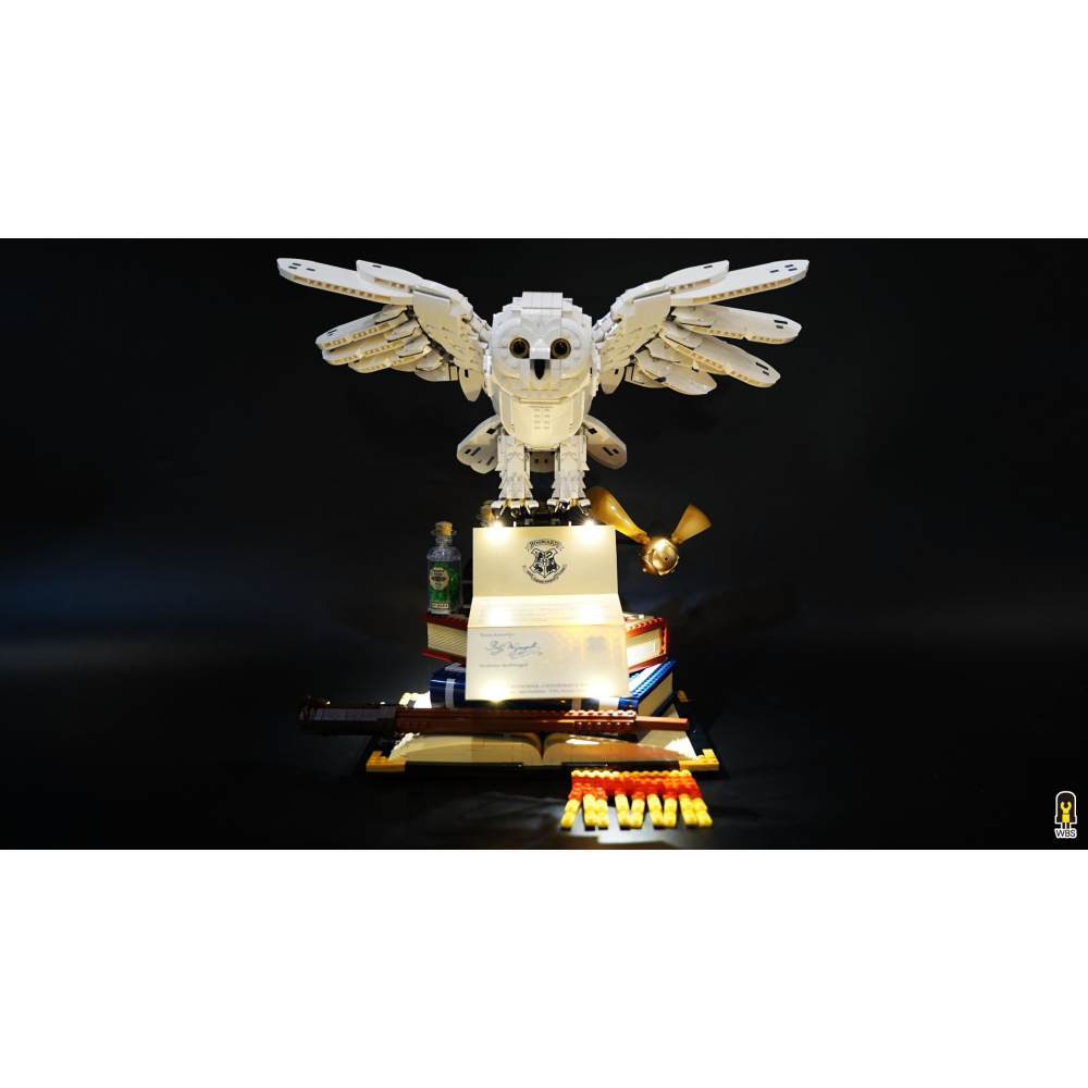 ［想樂］ [不含積木]  WBS 樂光 76391 大嘿美 專用燈組 紙片燈 樂光燈 專用防塵盒 展示盒 壓克力-細節圖2