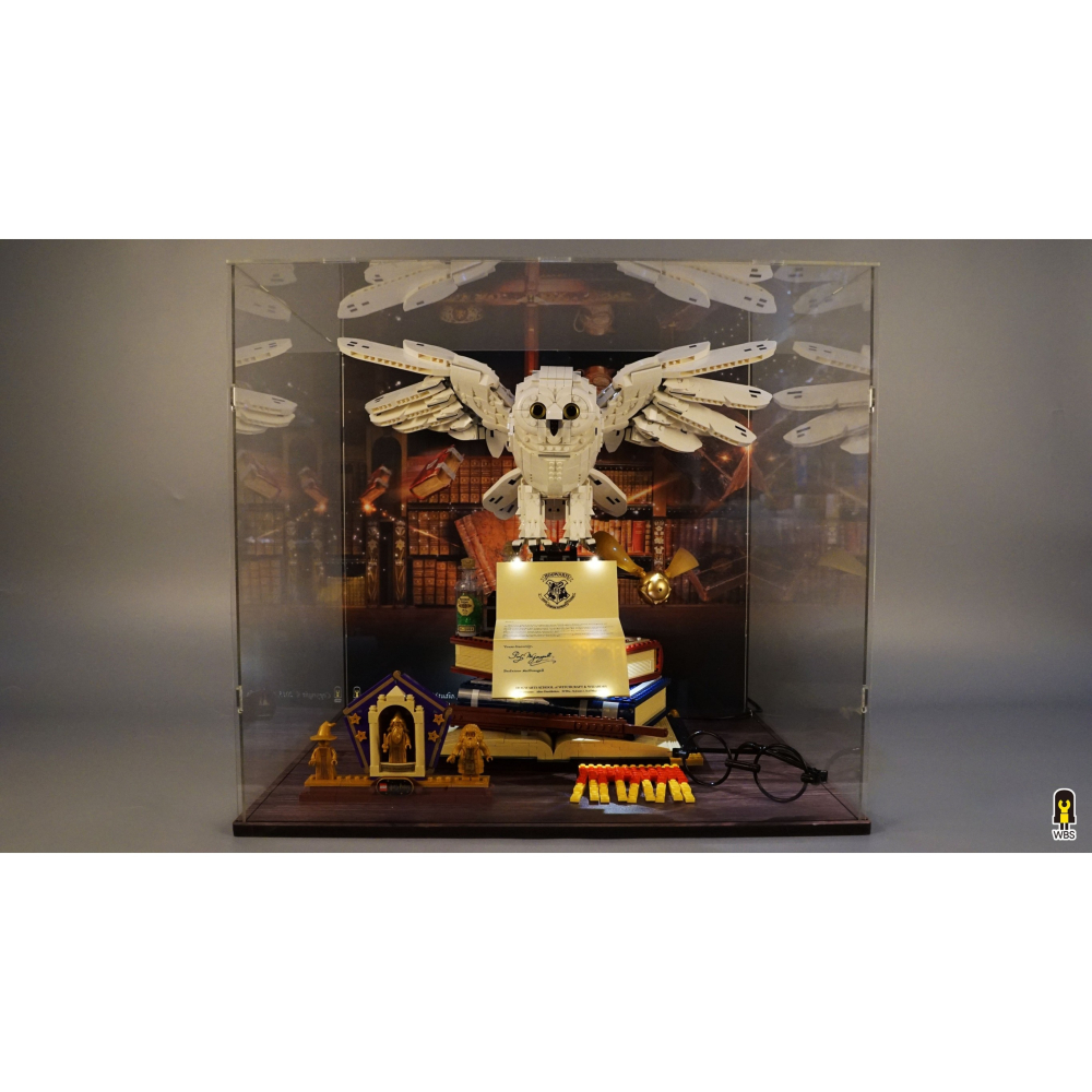 ［想樂］ [不含積木]  WBS 樂光 76391 大嘿美 專用燈組 紙片燈 樂光燈 專用防塵盒 展示盒 壓克力-細節圖9